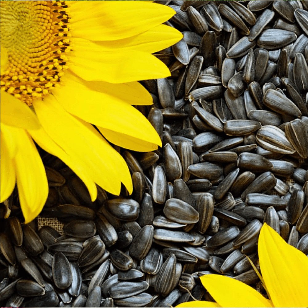 Prehrambeni proizvod može stvoriti udubinu između zuba